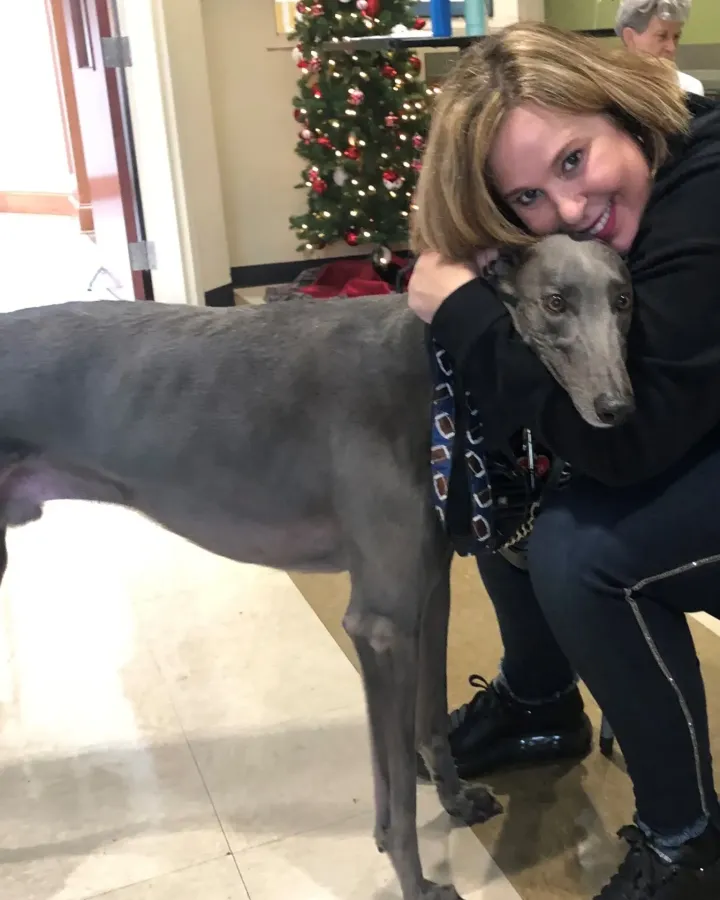 Maverick the greyhound with his handler
